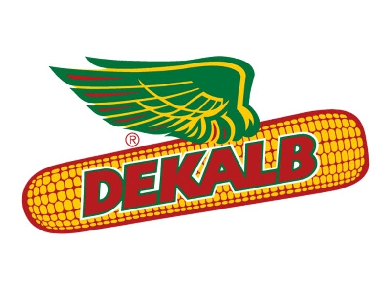 DEKALB apresenta cinco novos híbridos para a próxima safra verão e safrinha DEKALB apresenta cinco novos híbridos para a próxima safra verão e safrinha