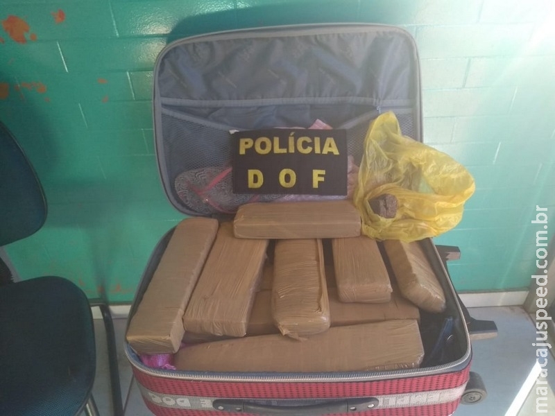 DOF prende mulher transportando droga em ônibus
