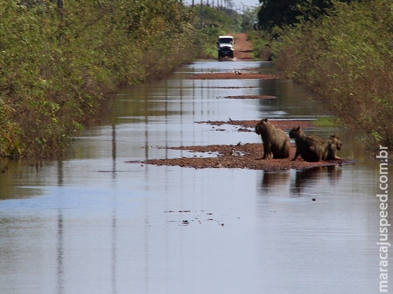 Estradas do Pantanal em boas condições na cheia favorecem ecoturismo e pesca