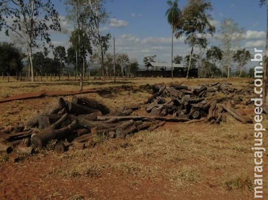 Fazendeiro é autuado pela PMA em Nioaque por desmatamento ilegal em 13 hectares