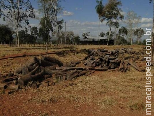 Fazendeiro é autuado pela PMA em Nioaque por desmatamento ilegal em 13 hectares Fazendeiro é autuado pela PMA em Nioaque por desmatamento ilegal em 13 hectares
