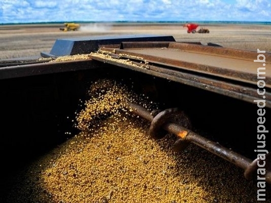 Incertezas no cenário econômico derrubam preço da soja em MS Incertezas no cenário econômico derrubam preço da soja em MS