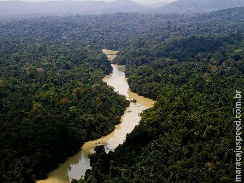 Licenciamento é principal tema tratado por órgãos de meio ambiente Licenciamento é principal tema tratado por órgãos de meio ambiente