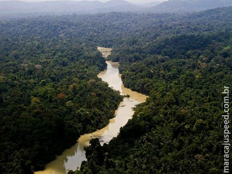 Licenciamento é principal tema tratado por órgãos de meio ambiente