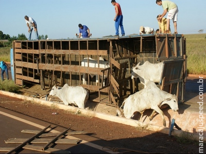 Maioria das vítimas de acidentes de trânsito no trabalho em MS são caminhoneiros Maioria das vítimas de acidentes de trânsito no trabalho em MS são caminhoneiros