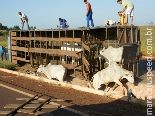 Maioria das vítimas de acidentes de trânsito no trabalho em MS são caminhoneiros