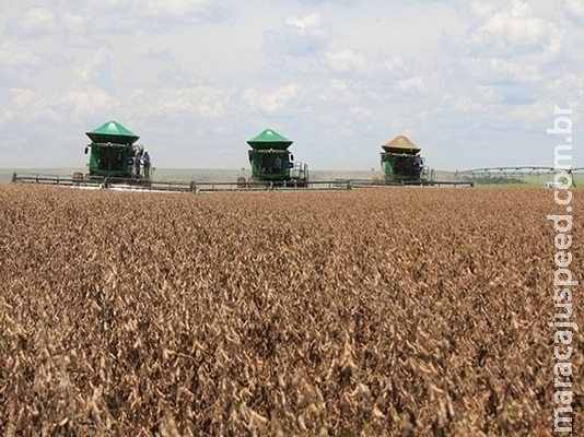 Mato Grosso do Sul deve recuperar crescimento do PIB em 2019