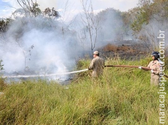 Meio Ambiente 10/07/2018 08:23 Em um ano, focos de incêndio em áreas urbanas aumentam 62% em MS