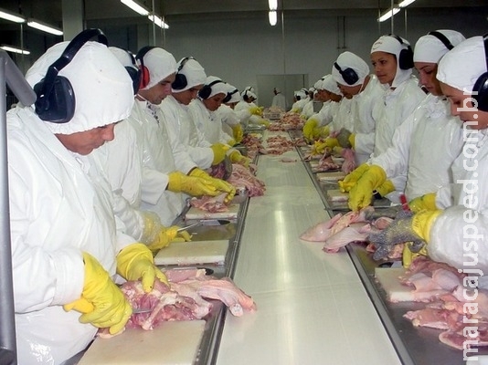 MS fecha junho com 297 novos empregos formais na indústria e agronegócio MS fecha junho com 297 novos empregos formais na indústria e agronegócio