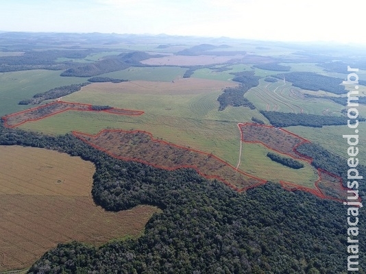 PMA autua fazendeiro em R$ 47 mil por desmatamento ilegal de cinco áreas de vegetação nativa