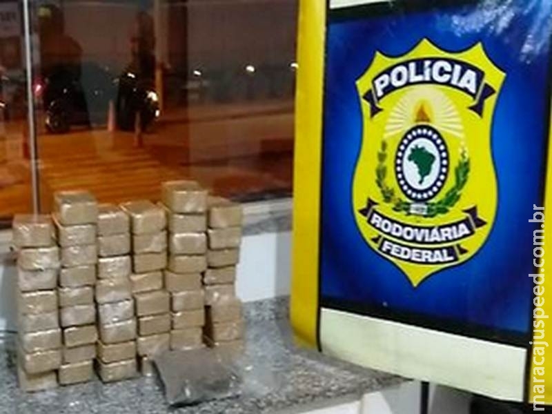 PRF apreende cocaína e supermaconha avaliados em R$ 1 milhão na BR-463