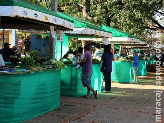 Produtores temem projeto que restringe venda de orgânicos