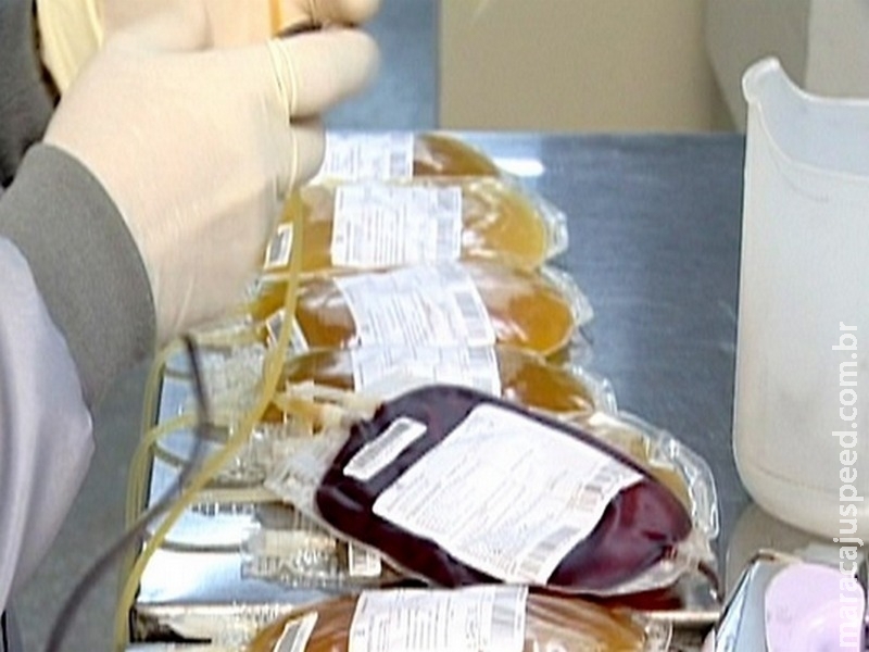 Projeto concede isenção de Imposto de Renda para doadores de medula óssea