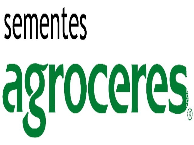 Quatro novos híbridos de milho são destaques da Sementes Agroceres para safra verão 2018/19 e safrinha 2019 Quatro novos híbridos de milho são destaques da Sementes Agroceres para safra verão 2018/19 e safrinha 2019
