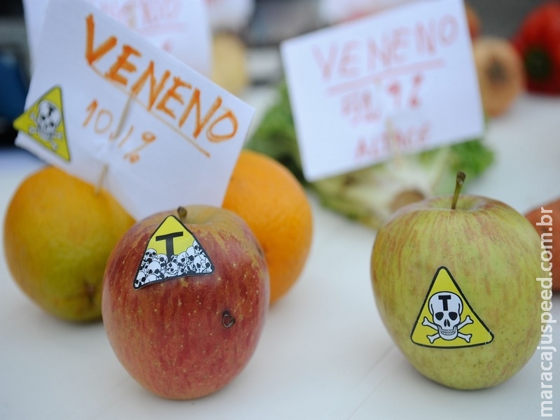 Revisão da legislação brasileira de agrotóxicos Revisão da legislação brasileira de agrotóxicos