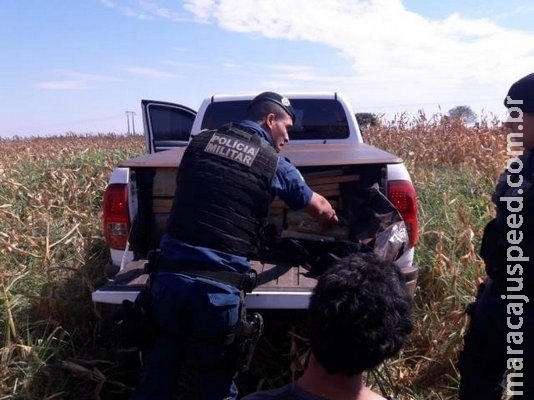 Traficante foge, mas é preso em milharal com uma tonelada de droga