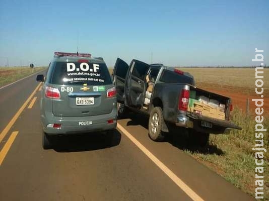 Traficantes abandonam caminhonete com mais de 1t de maconha Traficantes abandonam caminhonete com mais de 1t de maconha