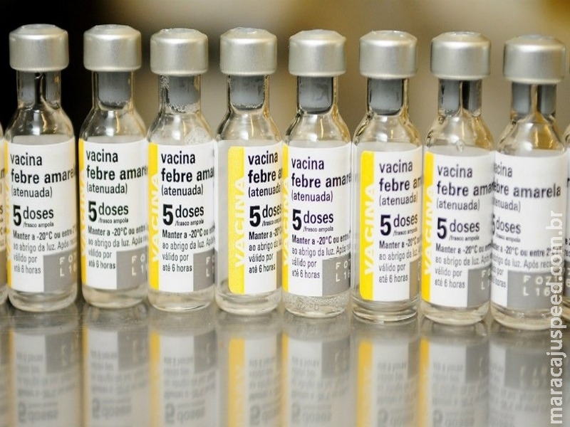 Vacinas do SUS são seguras e passam por processo rigoroso de validação