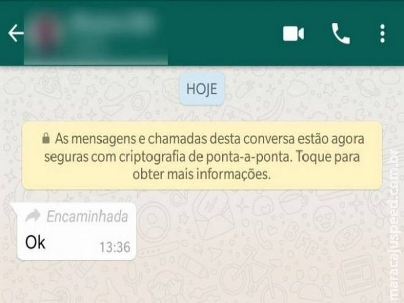 WhatsApp disponibiliza nova ferramenta que avisa sobre mensagem encaminhada