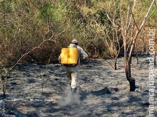 Apesar de menos queimadas em julho, Ibama dobra brigadistas em MS Apesar de menos queimadas em julho, Ibama dobra brigadistas em MS