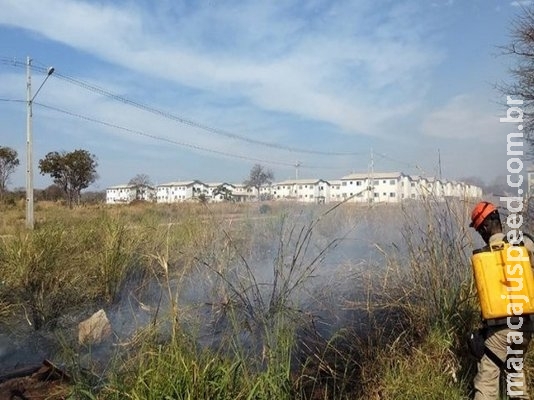 Bombeiros combateram 5 incêndios de ontem para hoje no Pantanal