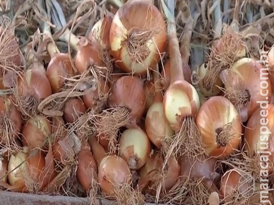 Campo Grande registra em julho a maior redução de preços do Brasil, aponta IBGE Campo Grande registra em julho a maior redução de preços do Brasil, aponta IBGE