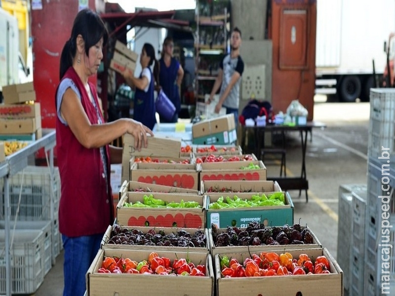 Combate ao desperdício de alimentos é desafio do Brasil e do mundo nos próximos anos Combate ao desperdício de alimentos é desafio do Brasil e do mundo nos próximos anos