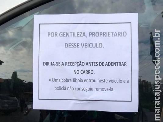 Comum em MS: quando um bilhete te avisa que tem uma jiboia no carro Comum em MS: quando um bilhete te avisa que tem uma jiboia no carro