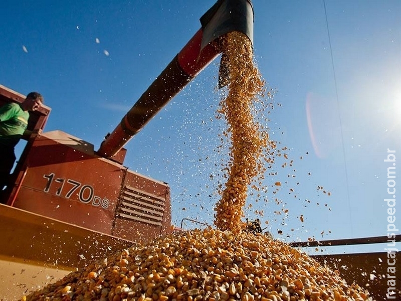 Economia domina pauta da Comissão de Agricultura neste semestre