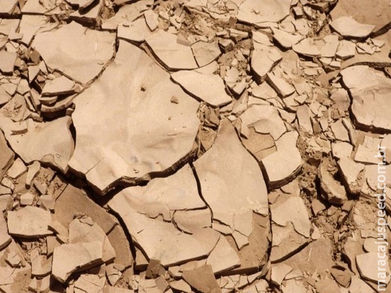 FAO alerta para estatística preocupante à segurança alimentar: um terço dos solos em nível global está degradado FAO alerta para estatística preocupante à segurança alimentar: um terço dos solos em nível global está degradado