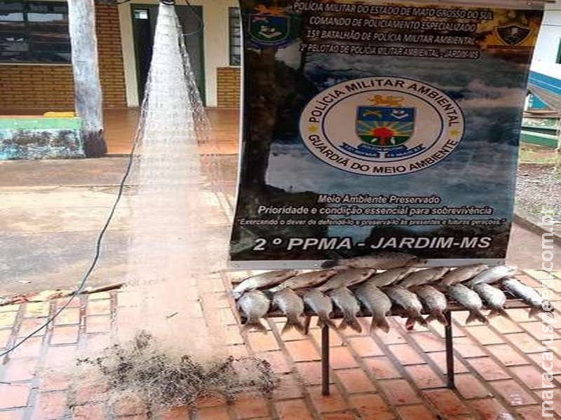 Homem é preso com petrecho ilegal e pescado abaixo da medida Homem é preso com petrecho ilegal e pescado abaixo da medida