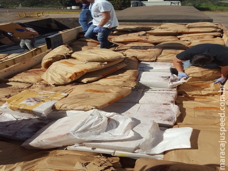 Maconha em carga de sangue suíno apreendida em MS pesou 7 toneladas