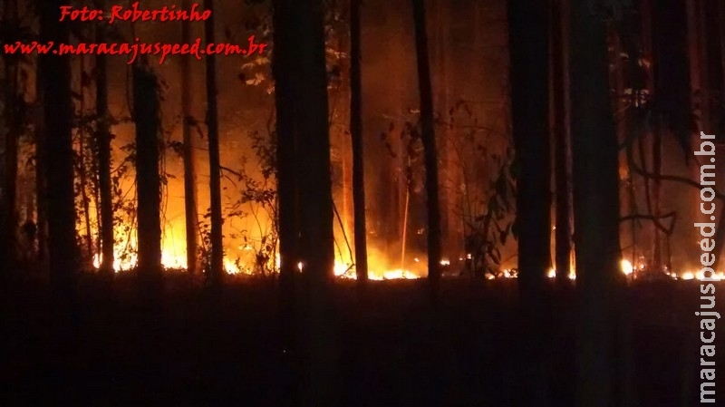 Maracaju: Corpo de Bombeiros extingui incêndio quatro vezes na mesma região em menos de 24 horas Maracaju: Corpo de Bombeiros extingui incêndio quatro vezes na mesma região em menos de 24 horas