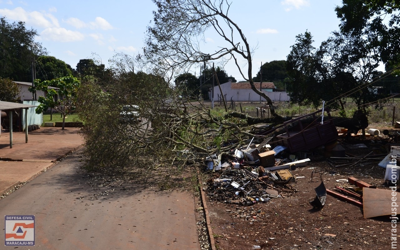 Maracaju: Vento de 39 por hora derruba árvore em caminhão
