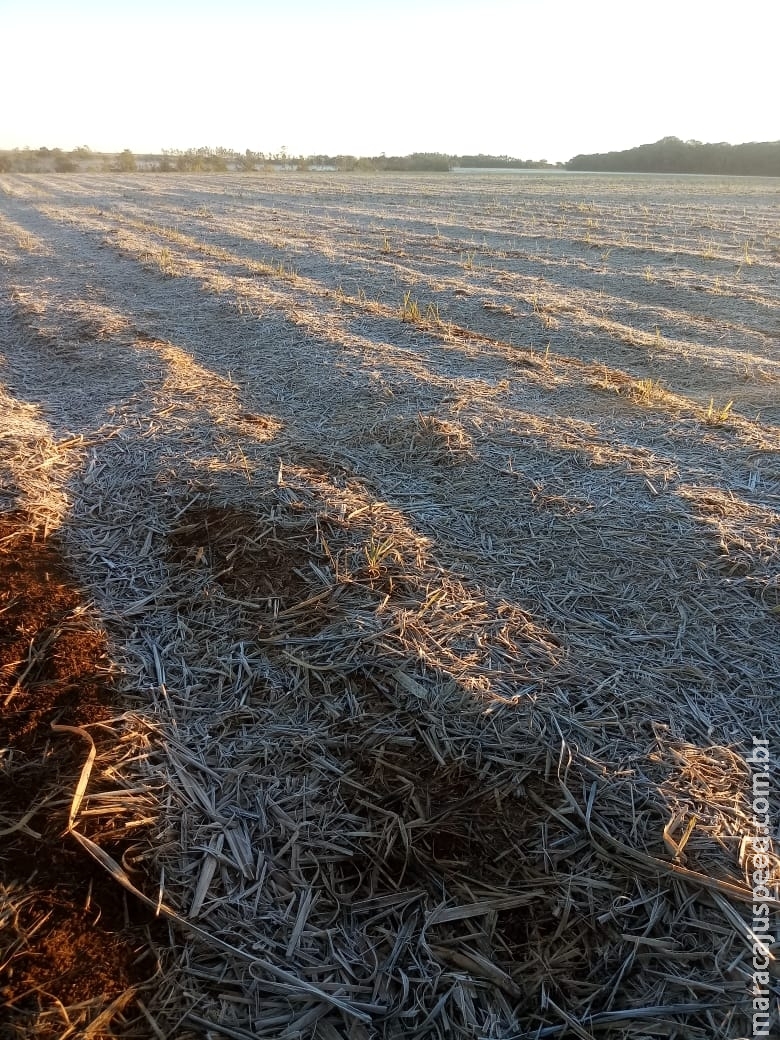 Maracaju: Volta a Gear na zona Rural de Maracaju