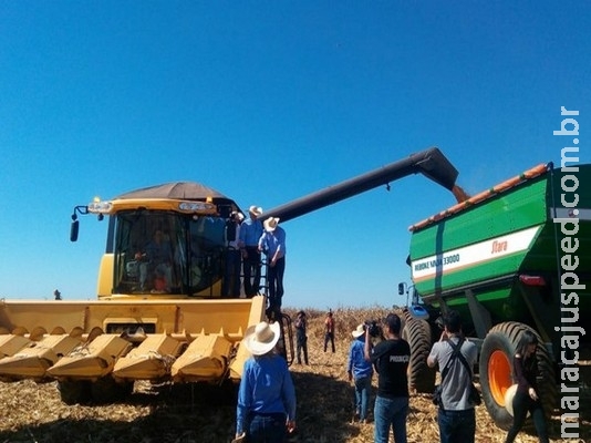 MS já colheu mais da metade da área cultivada com milho na segunda safra