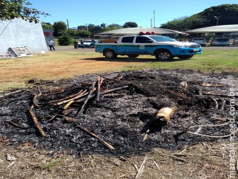 PMA autua dono de empresa por incendiar resíduos de limpeza em terreno na Capital PMA autua dono de empresa por incendiar resíduos de limpeza em terreno na Capital