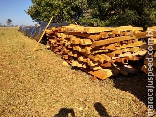 PMA autua empresa pecuarista em R$ 21 mil por exploração ilegal de madeira PMA autua empresa pecuarista em R$ 21 mil por exploração ilegal de madeira