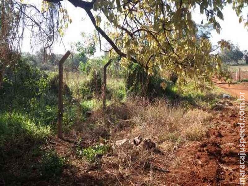 Populares encontram corpo de homem embaixo de árvore e suspeita é que frio tenha provocado a morte