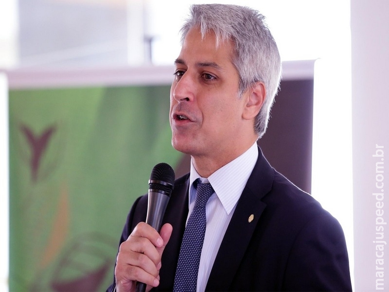 Proposta restringe porte de arma e criminaliza posse ilegal de explosivo Proposta restringe porte de arma e criminaliza posse ilegal de explosivo