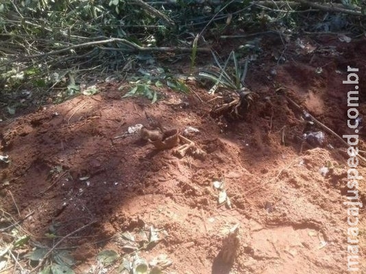 Quatro ossadas humanas são encontradas em cova rasa na fronteira