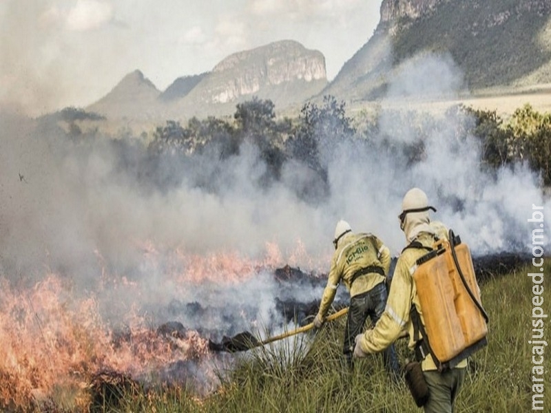 Queimadas controladas necessitam autorização e acompanhamento Queimadas controladas necessitam autorização e acompanhamento