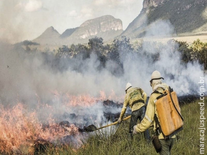 Queimadas controladas necessitam autorização e acompanhamento