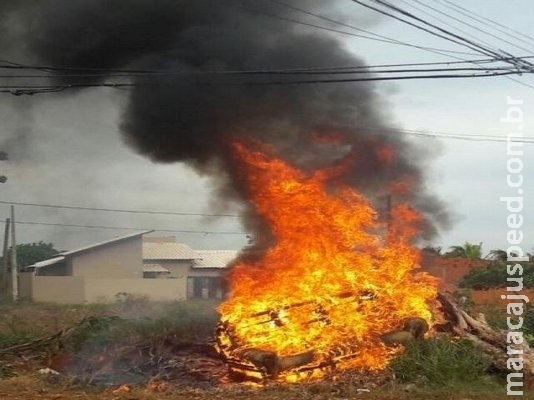 Queimadas podem atingir rede elétrica e deixar bairros sem luz, alerta Energisa