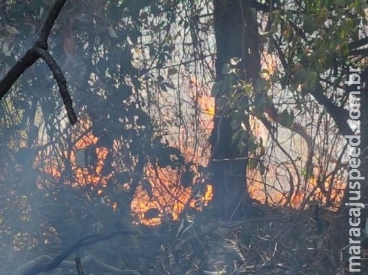 Sem trégua da estiagem, fogo no mato 