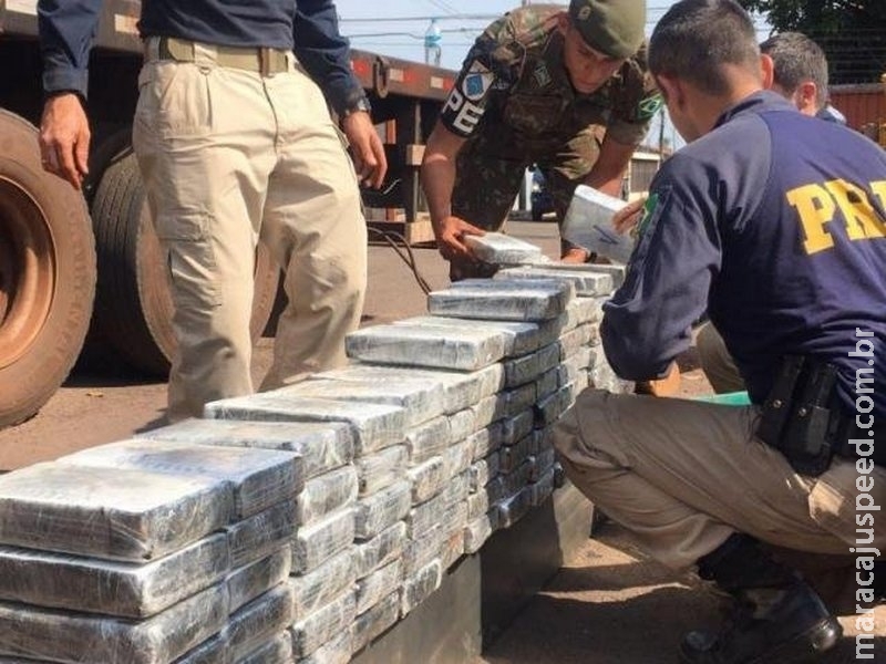 Cães farejadores ajudam polícia a encontrar 223 kg de cocaína