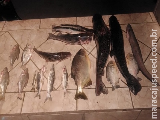 Campo-grandense é preso por pesca predatória Campo-grandense é preso por pesca predatória