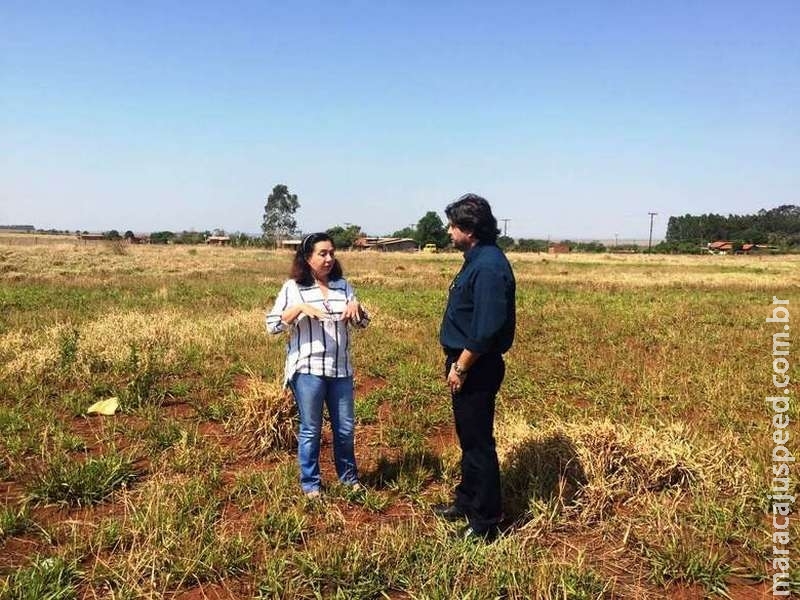 Denúncia de irregularidades coloca Habitação na mira do MP Denúncia de irregularidades coloca Habitação na mira do MP