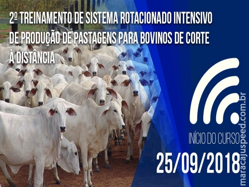 ESALQ/USP abre inscrições para treinamento à distância sobre Sistema Rotacionado Intensivo de Produção de Pastagens para Bovinos de Corte ESALQ/USP abre inscrições para treinamento à distância sobre Sistema Rotacionado Intensivo de Produção de Pastagens para Bovinos de Corte