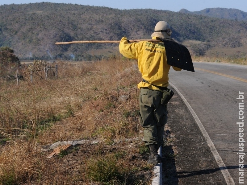 Governo mobilizado para combater incêndios florestais